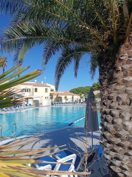 Studio Renove Dans Residence De Vacances Avec Grande Piscine Chauffee, Parking Et Terrasse Agde Kültér fotó