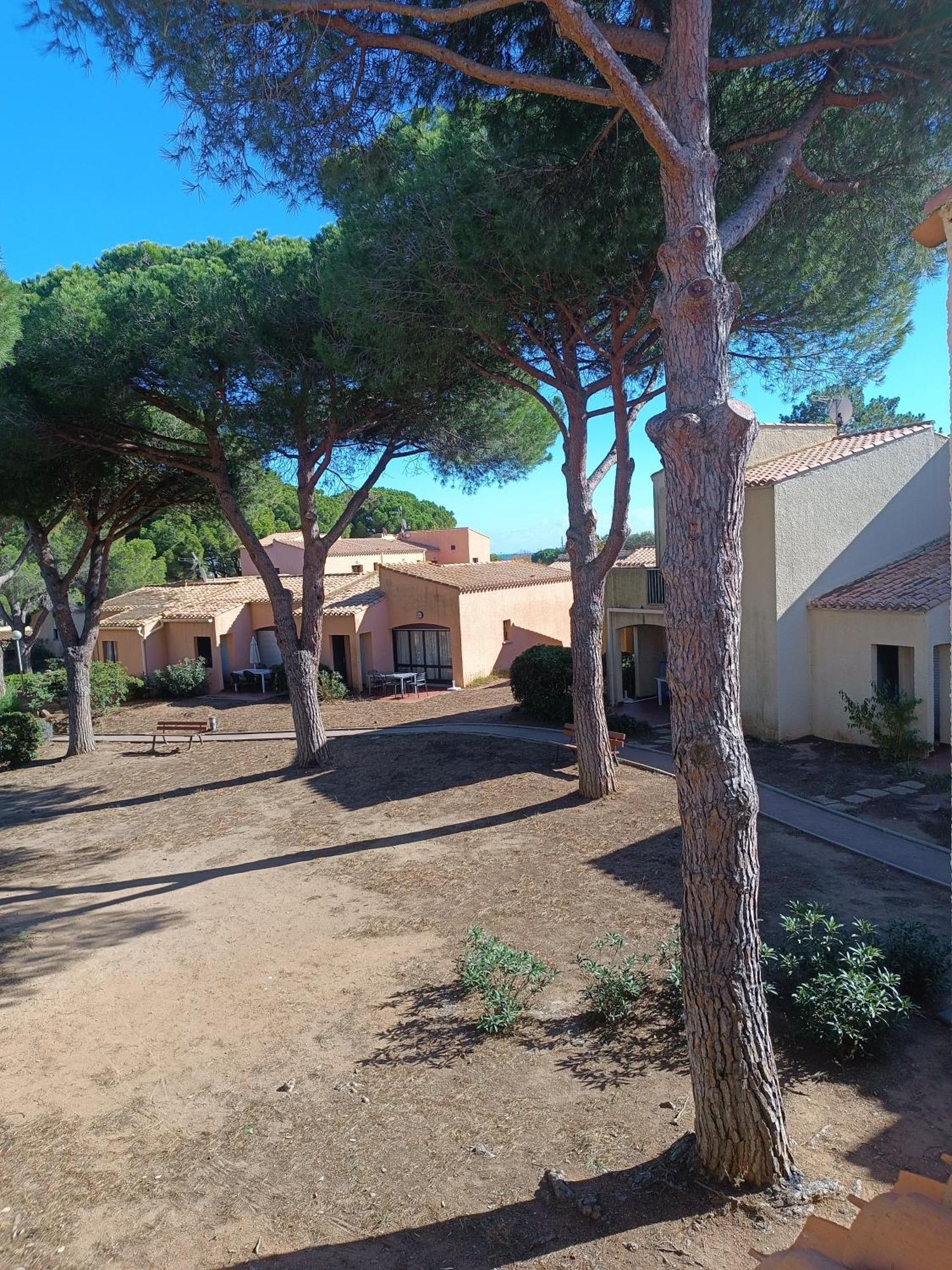 Studio Renove Dans Residence De Vacances Avec Grande Piscine Chauffee, Parking Et Terrasse Agde Kültér fotó